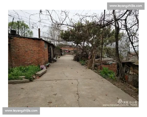 王洪祥vs方便巅峰对决背后中国搏击时代的荣光与争议传奇记忆